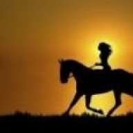 Quijotita