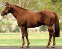 honorcode