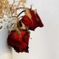 Raissa_nahid