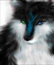 VampireWolf