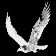 I Am Free