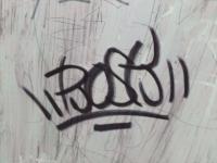 Roskaoner