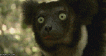 el_cachodo