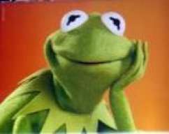 KermitFrog
