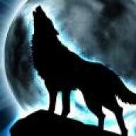 2lobo solitario2