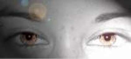 Panxi_tha