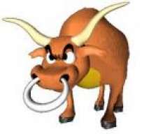 Toro_nmg