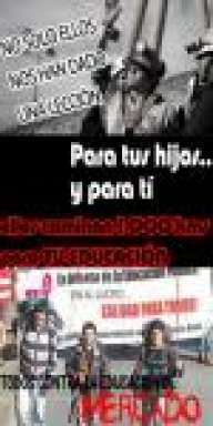 cipoalbo