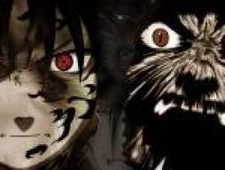 Raico666
