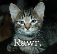 RaaAaaRw