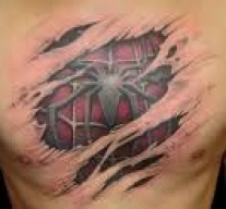 spiderspy