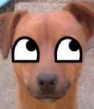 Aksmo
