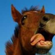 caballo_loco