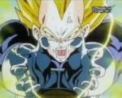 vegeta24