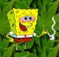 Kannabidol