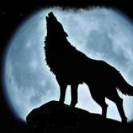 LoBiTo_MoRoXo