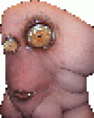 payazoctm