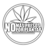 DieegO74