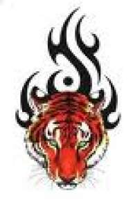 kokeescorpion
