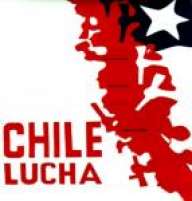 pachangarock
