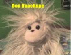 huachu