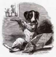 Perroflauta