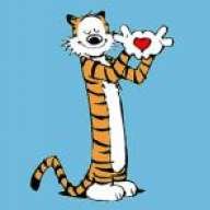 hobbes1990