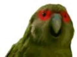Quieroseranonimo