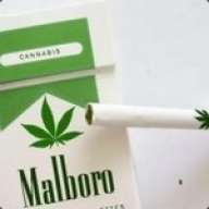 ma1boroisback