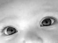 malcinfant