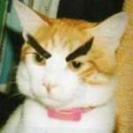 angrymadcat
