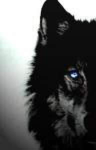 Wakk0