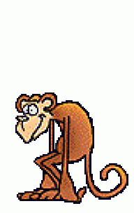 monkey