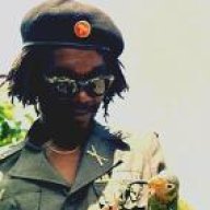 BUSHDOCTOR