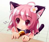 Nekochan