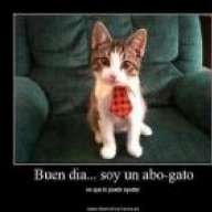 YueAX