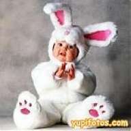 kittinita_01