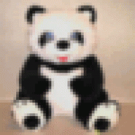 Pneuctwen