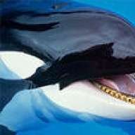 La Orca Asesina
