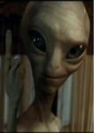 fisgon_morboson