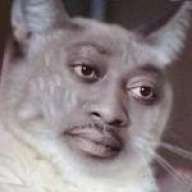 JazzCat.XII