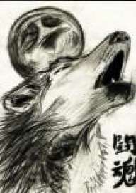 SegoxS