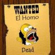 the_homo