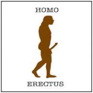 homoerectus