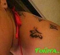 ponyser