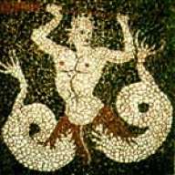 racotto