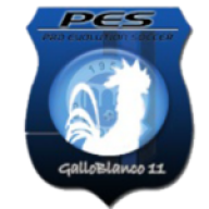 galloblanco11