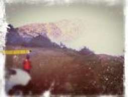 jmp.x