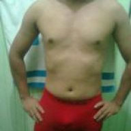 Ardilla86