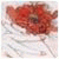 yukLerort